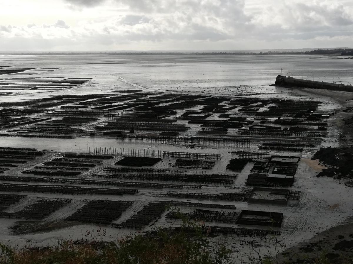 Chambres D'Hotes Les Fleurettes En Baie Du Mont Saint Michel Exteriér fotografie